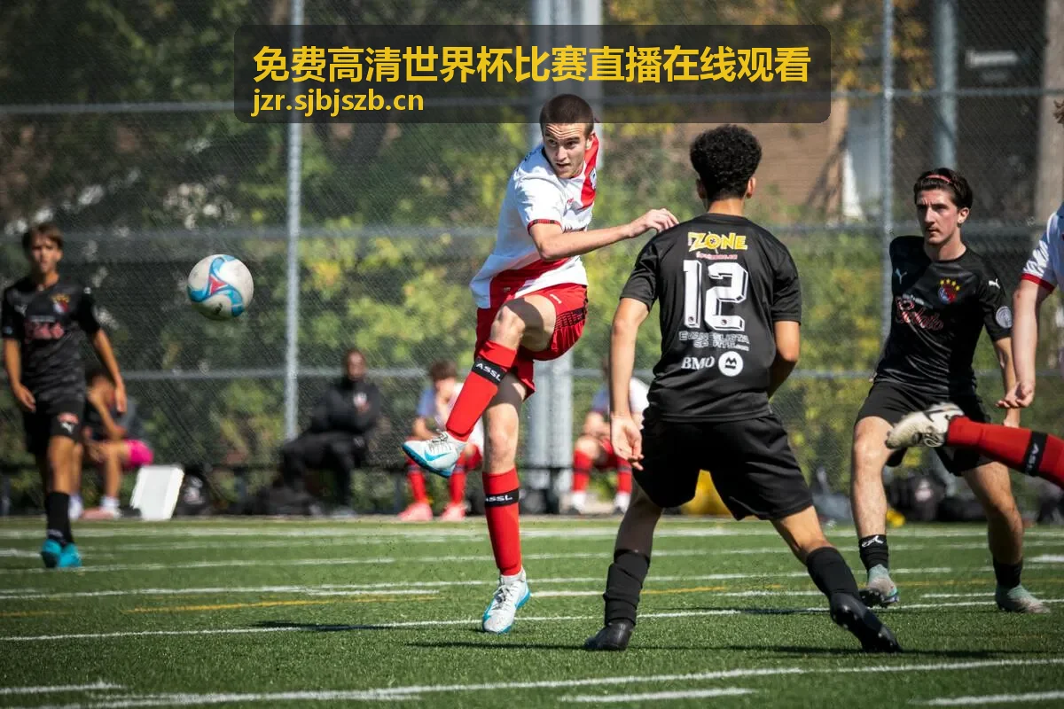 免费高清世界杯比赛直播在线观看 - 多视角直播