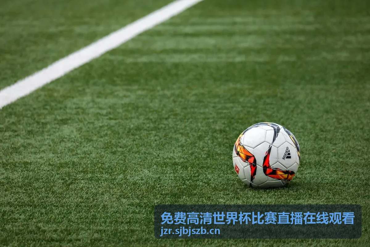 免费高清世界杯比赛直播在线观看 - 多语种解说直播